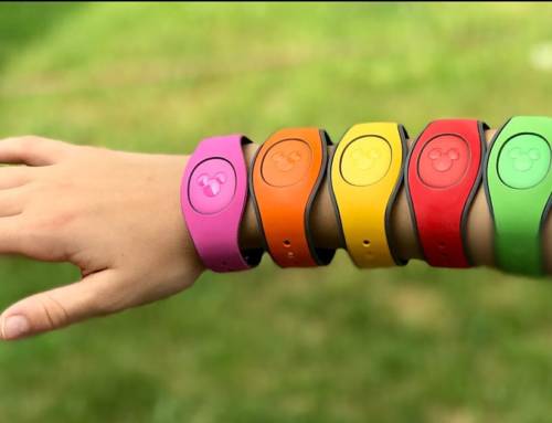 Customize MagicBands