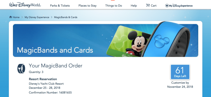 MagicBand customization screenshot