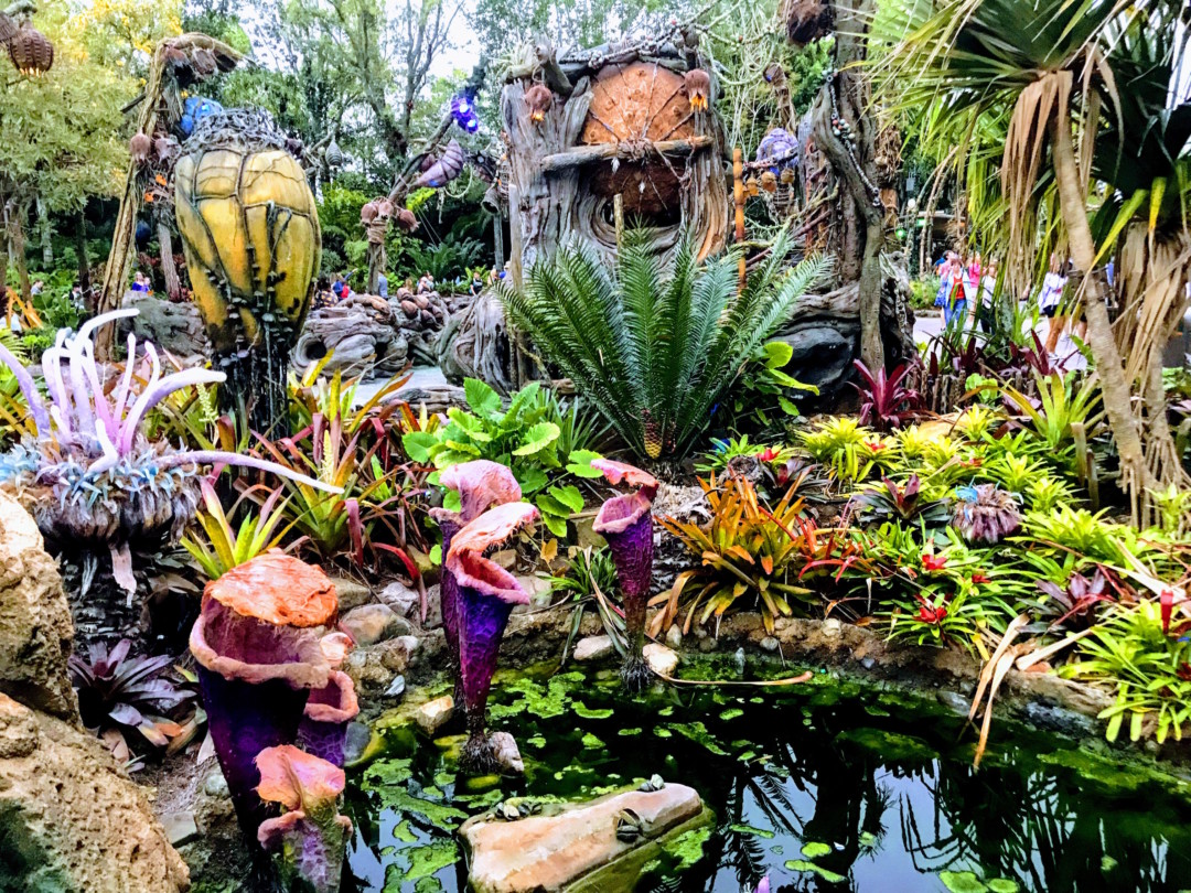 Pandora colorful landscape